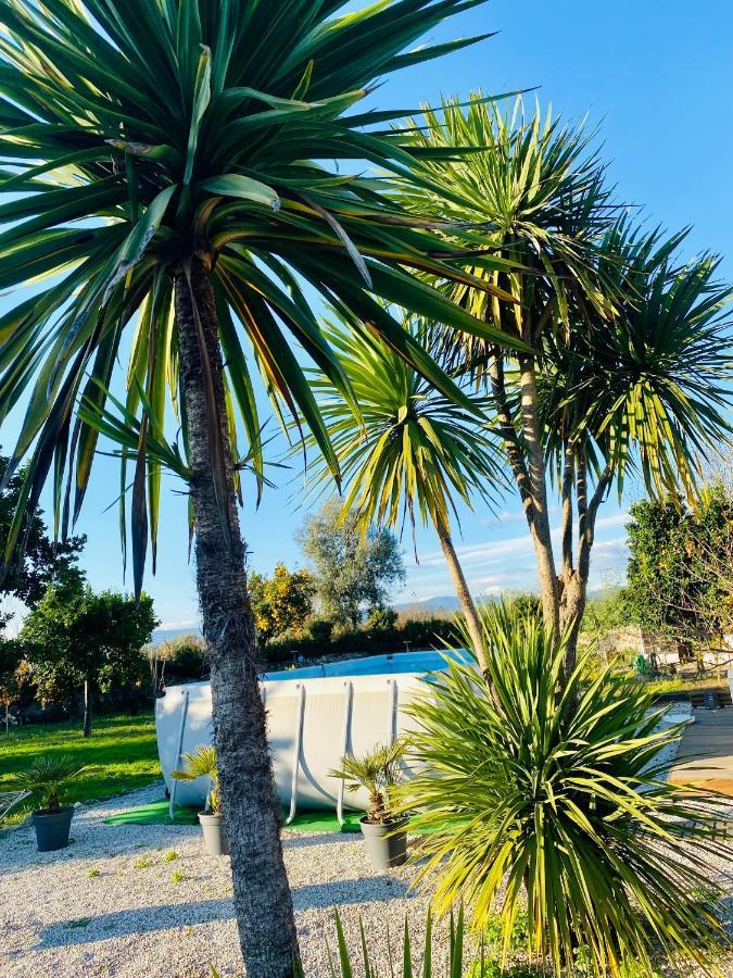 Quinta De Areias Bed and Breakfast Crespos Εξωτερικό φωτογραφία