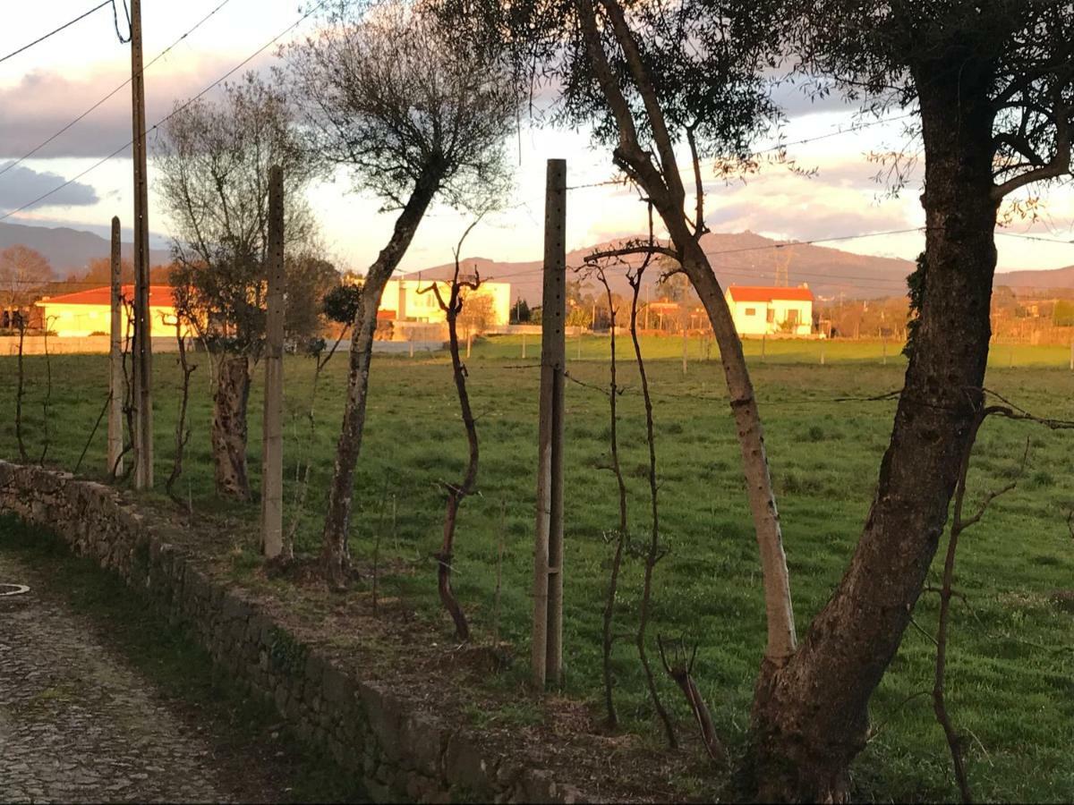 Quinta De Areias Bed and Breakfast Crespos Εξωτερικό φωτογραφία